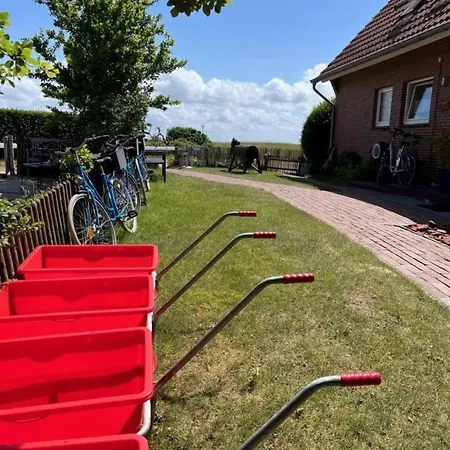 Im Witte Sand, * Baltrum